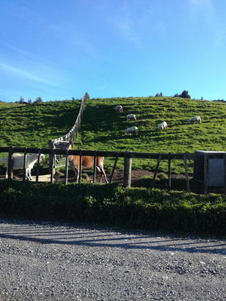 Junohall Backpackers Cavernas de Waitomo Exterior foto